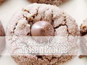 Chocolate Orange Blossom Cookies Recipe