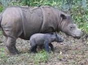 Businesses Must Step Support Biodiversity It’s Simple