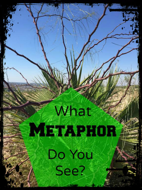 What metaphor do you see? Video and text to inspire you. 