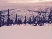 Yukon Arctic Ultra 2015 Results