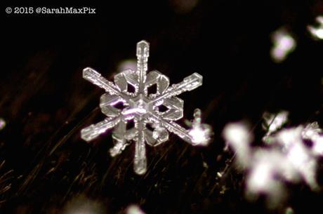 snowflake-3