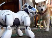 Iniya Iyanthira Jeeno Robot Dogs .... Artificial Intelligence