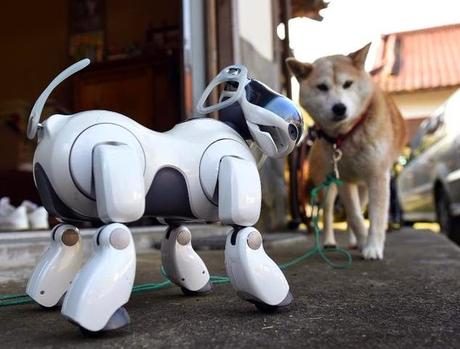En Iniya Iyanthira - Jeeno - robot dogs .... artificial intelligence