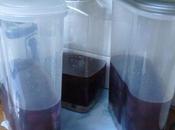 Damson Gin, Jellies Jams