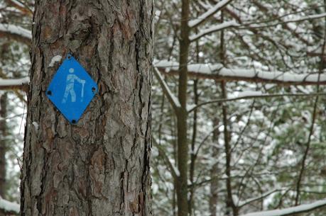 Ontario Parks: Best parks to snowshoe in Petawawa, Ontario