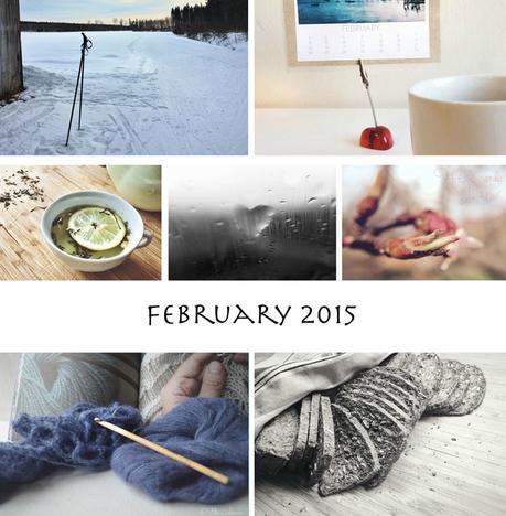 A Month in Photos [February 2015]