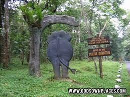 The famous Periyar wildlife sanctuary