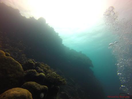 Pescador Island