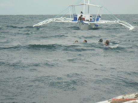 Pescador Island