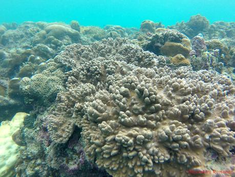 Pescador Island and Panagsama Beach