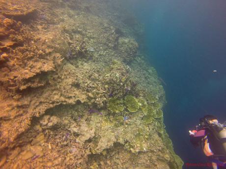 Pescador Island