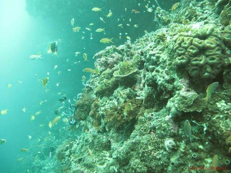 Pescador Island