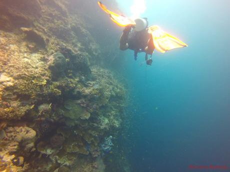 Pescador Island