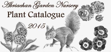 2015 Plant Catalogue  Now Online
