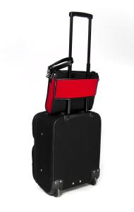 The Airpocket on wheeled bag back