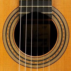 guitar-zoom-strings
