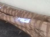 Unusual Deliveries, Winds