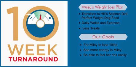 Miley's Journey to Her #PerfectWeight