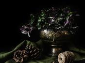 Still Life Photography [Sidelight Organic]