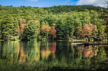 Watoga State Park West Virginia is a staple of any WV road trip plan