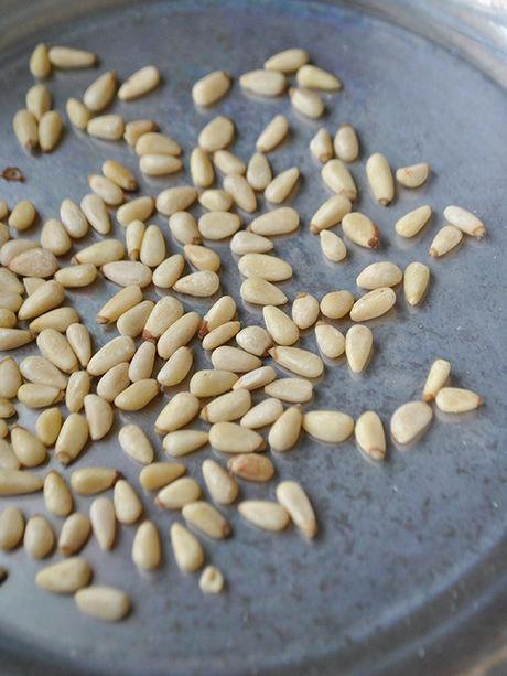 pine nuts