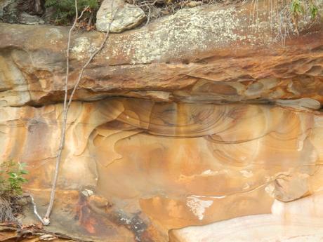 Aboriginal charcoal etchings visible from the water in Ku-ring-gai Chase National Park