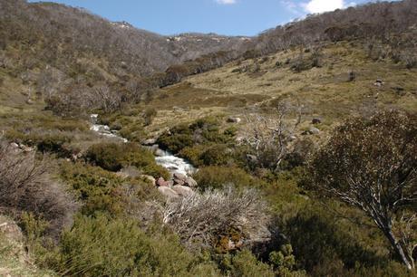 Thredbo River in Kosciuszko National Park