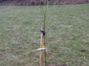 Meet Ingrid Friends.