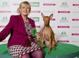 21 Reasons Why You Should Definitely Watch Crufts 2015