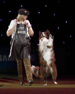 21 Reasons Why You Should Definitely Watch Crufts 2015