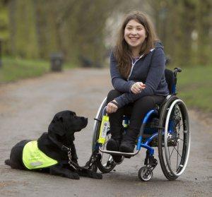 21 Reasons Why You Should Definitely Watch Crufts 2015