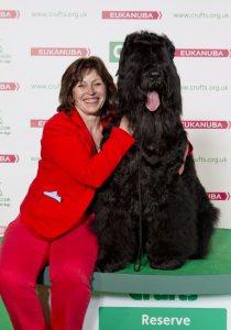 21 Reasons Why You Should Definitely Watch Crufts 2015