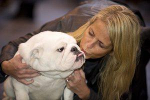 21 Reasons Why You Should Definitely Watch Crufts 2015