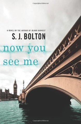 Now You See Me by S.J. Bolton