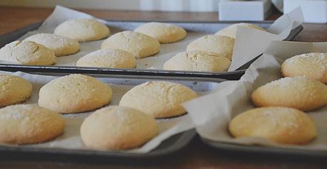 Recipe | Super Easy Sugar Cookies!