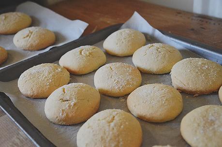 Recipe | Super Easy Sugar Cookies!