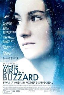 blizzard