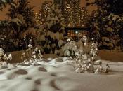 Friday Fotos: Thursday Evening Hoboken