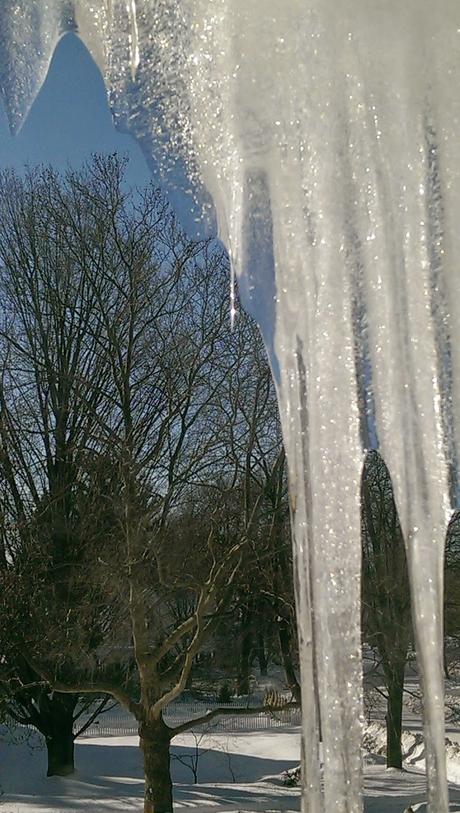 Winter Sky  [Sky Watch Friday]