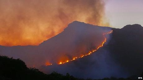 fire rages in mountains of Cape Town ~ fiery Dale Steyn thanks fighters