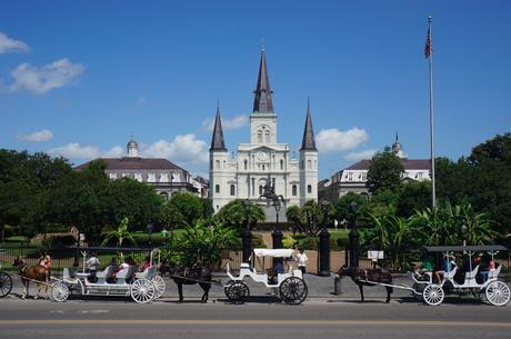 Carriage rides in NOLA