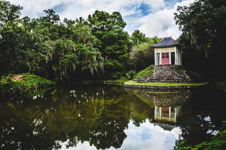 Tabasco and Jungle Island 