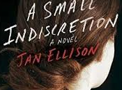 Small Indiscretion Ellison- Book Review