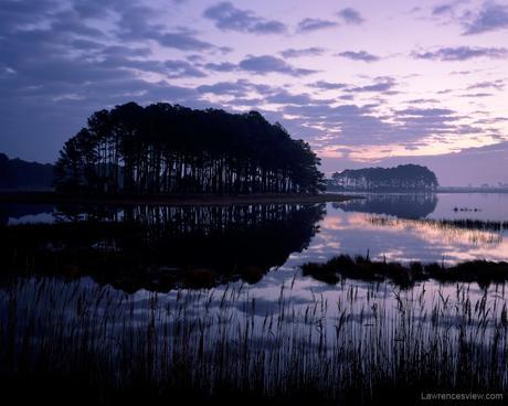 Chincoteague Sunrise © 2006 William Lawrence