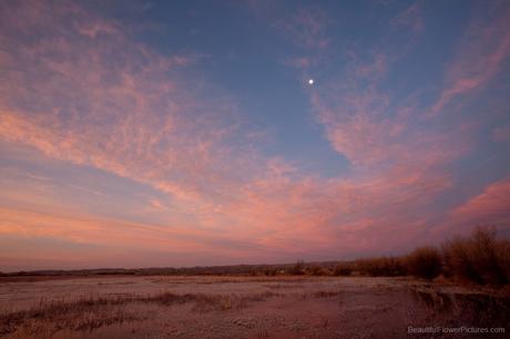 Sunrise at Bosque del Apache ©2009 Patty Hankins