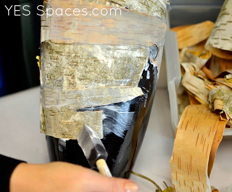 DIY a Birch Bark Lamp