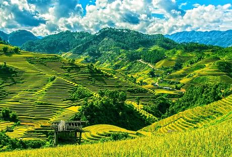 rice-terraces-164622_640