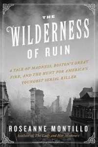 The Wilderness of Ruin by  Roseanne Montillo
