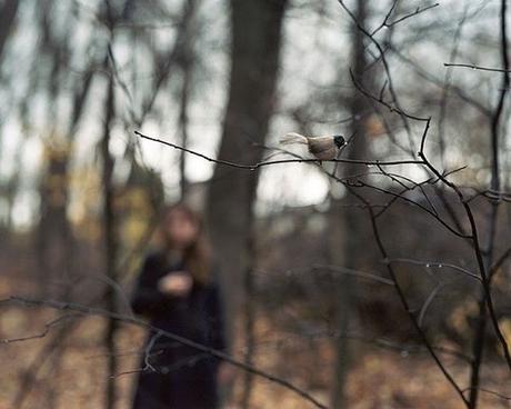 anastasia-cazabon-forest
