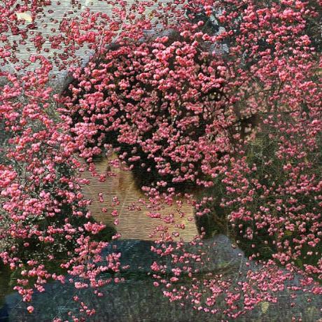 helen-sear-beyond-the-view-no-5-artsy